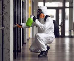 Best Mold Prevention Services in USA